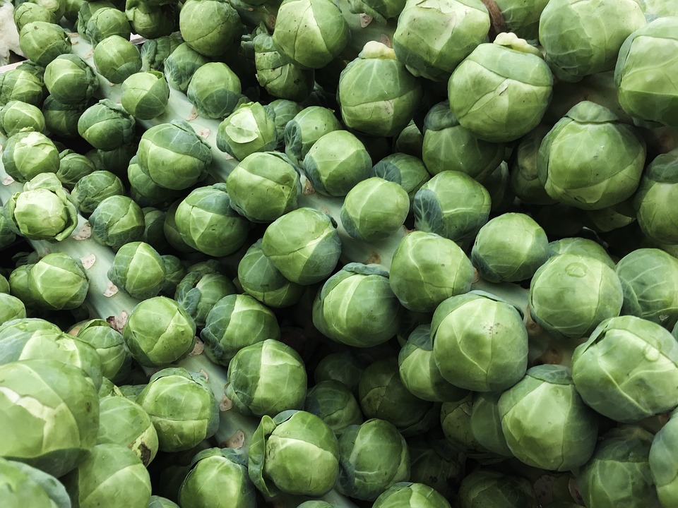 sprouts-2582679_960_720