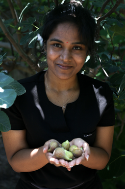 Sai with Figs