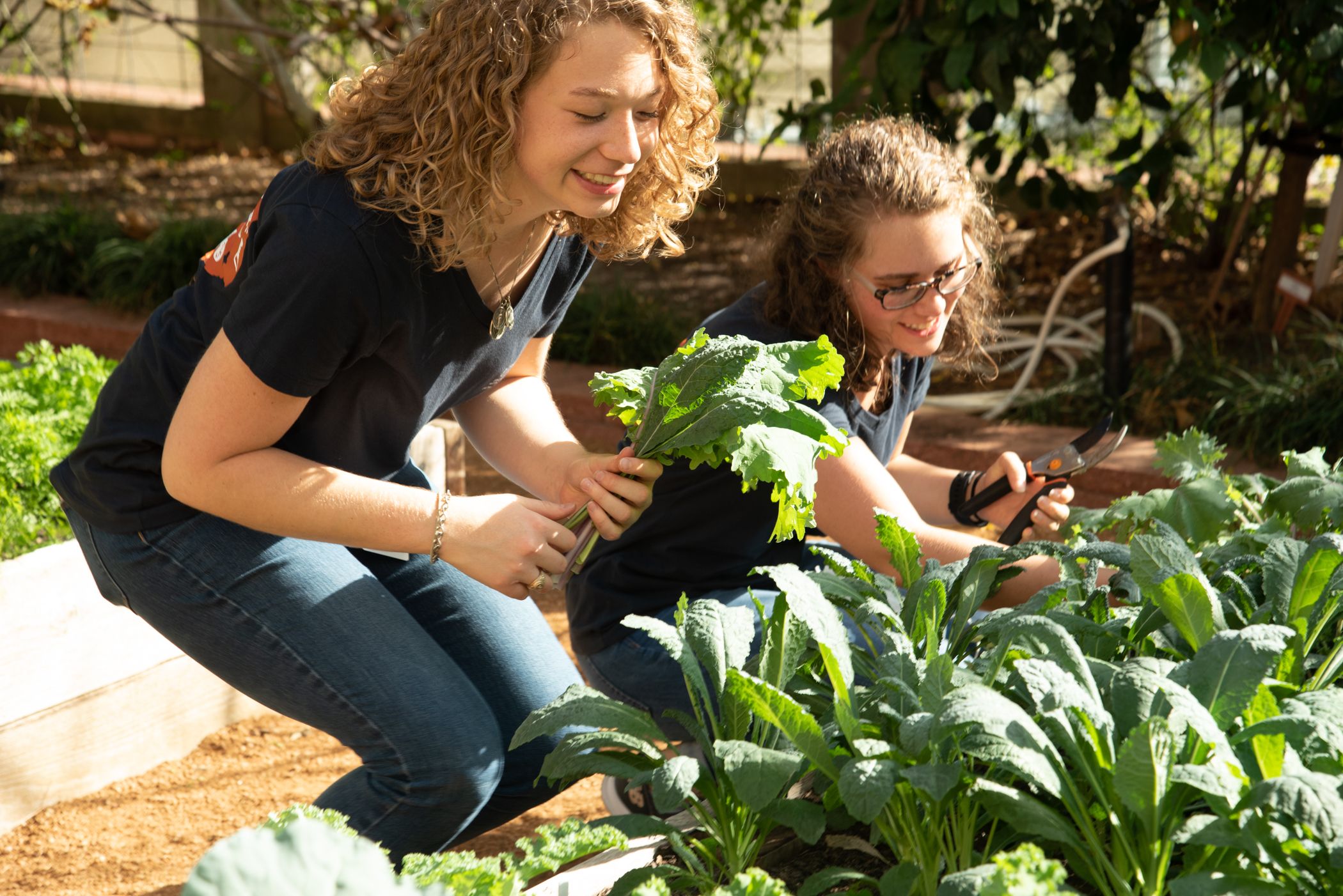 garden_harvest_two_interns