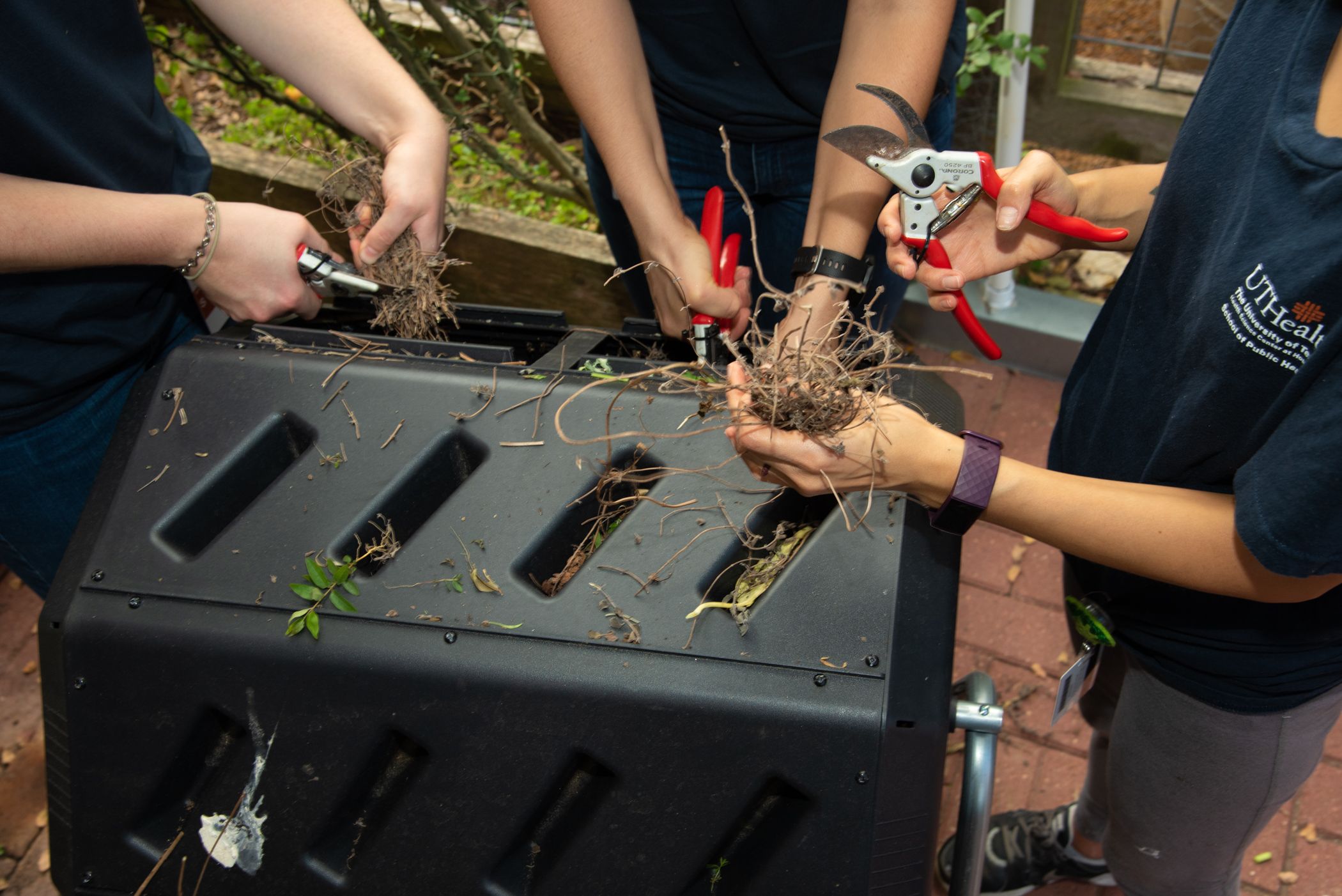 interns cutting in compost