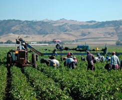 Farmworkers